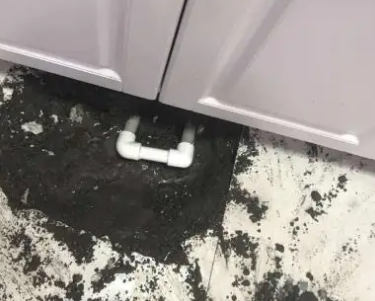 林口查漏水哪家好