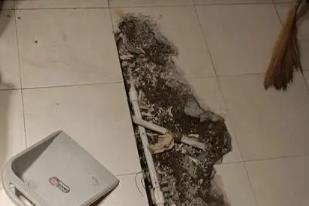 林口卫生间漏水检测电话
